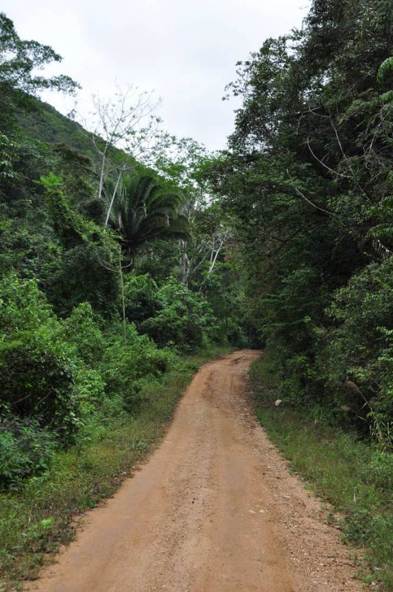A estrada para as ruínas mayas de Caracol, em Belize, quase na fronteira com a Guatemala